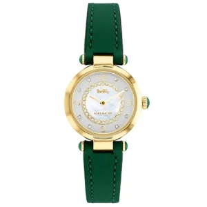 Cary Women's Watch 14503894